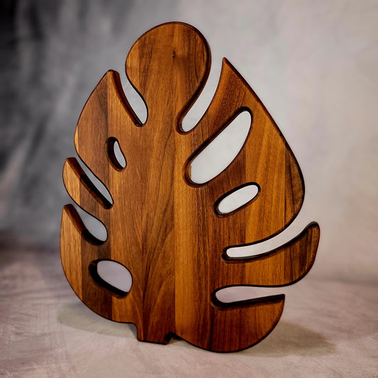 Monstera Nussbaum schräg